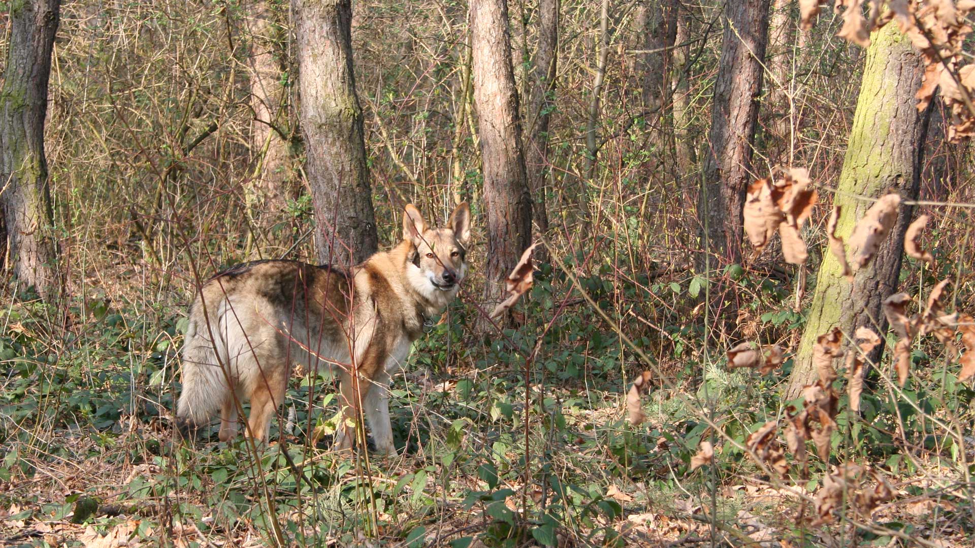 Březen 2007