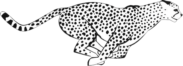 gepard